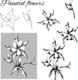 Set of contour flowers. Black and white drawing, sketch drawn in ink. Outline of vector flowers royalty free illustration Set of contour flowers. Black and white drawing, sketch drawn in ink. Outline of vector flowers royalty free illustration