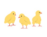 Set of cute cartoon chickens on white background. royalty free illustration Set of cute cartoon chickens on white background. royalty free illustration