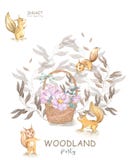 Set cute watercolor bohemian baby squirrel animal and wooden basket poster for nursary, alphabet woodland isolated forest stock illustration Set cute watercolor bohemian baby squirrel animal and wooden basket poster for nursary, alphabet woodland isolated forest stock illustration