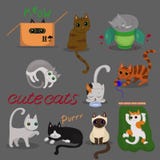 Set of different cats in different poses with on grey background. Vector illustration vector illustration Set of different cats in different poses with on grey background. Vector illustration vector illustration