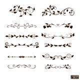 Set dividers with plant elements vector illustration Set dividers with plant elements vector illustration