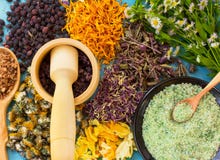 A set of dried flowers and berries, herbs, oak bark, sea salt on old wooden table royalty free stock photography A set of dried flowers and berries, herbs, oak bark, sea salt on old wooden table royalty free stock photography