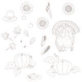 Set elementy dla dziękczynienia royalty ilustracja Set elementy dla dziękczynienia royalty ilustracja
