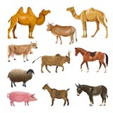 Set of farm animals royalty free illustration Set of farm animals royalty free illustration