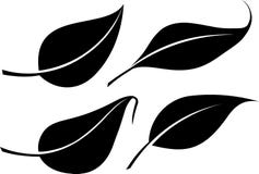 Set of four black leaves vector silhouettes. vector illustration Set of four black leaves vector silhouettes. vector illustration