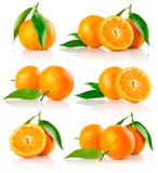 Set of fresh mandarine fruits with cut royalty free stock image Set of fresh mandarine fruits with cut royalty free stock image