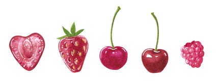 Set of garden red berries, heart-shaped and round, watercolor clip art vector illustration Set of garden red berries, heart-shaped and round, watercolor clip art vector illustration
