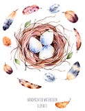 Set of high quality hand painted watercolor bird nest with eggs and feathers stock illustration Set of high quality hand painted watercolor bird nest with eggs and feathers stock illustration
