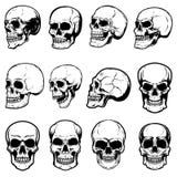 Set of human skull illustrations on white background. Design element for label, emblem, sign,logo, poster. vector illustration Set of human skull illustrations on white background. Design element for label, emblem, sign,logo, poster. vector illustration
