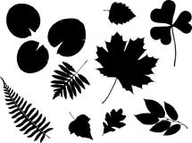 Set Icons - 12C. Leaves Stock Photos Set Icons - 12C. Leaves Stock Photos