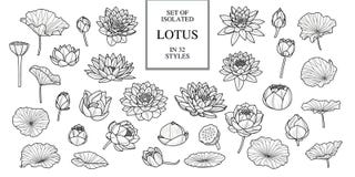 Set of isolated lotus in 32 style. Hand drawn style. Vector