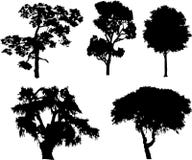 Set Isolated Trees - 15 Stock Photos Set Isolated Trees - 15 Stock Photos