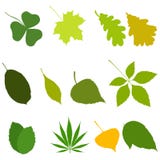 Set liść ikony odizolowywać na białym tle budowy ilustraci zapas pod wektorem ilustracja wektor Set liść ikony odizolowywać na białym tle budowy ilustraci zapas pod wektorem ilustracja wektor
