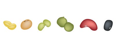 Set Of Different Beans In A Row Stock Photography Set Of Different Beans In A Row Stock Photography