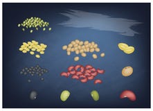 Set Of Different Beans On A Chalkboard Royalty Free Stock Images Set Of Different Beans On A Chalkboard Royalty Free Stock Images