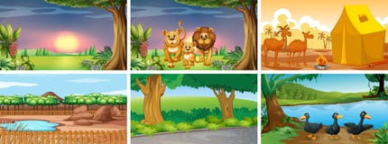 Set Of Different Scenes With Animals Stock Image