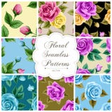 Set Of Floral Seamless Patterns Royalty Free Stock Image