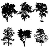 Set Of Tree Silhouette Vector Royalty Free Stock Images