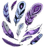 Set purpurowi ptasi piórka odizolowywający na bielu markier sztuka pojęcie dla kart, gratulacje, oznakuje royalty ilustracja Set purpurowi ptasi piórka odizolowywający na bielu markier sztuka pojęcie dla kart, gratulacje, oznakuje royalty ilustracja