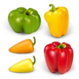 Set realistic peppers Stock Photo Set realistic peppers Stock Photo