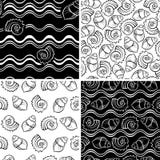 Set of sea shell seamless ornaments vector illustration Set of sea shell seamless ornaments vector illustration