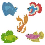Set of Siamese Fighting Fish royalty free illustration Set of Siamese Fighting Fish royalty free illustration