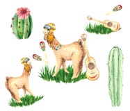 A set of stickers with fun alpacas, cacti, musical instruments on the green grass. Watercolor Mexican sketches for children`s illu