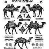 Set of stylized figures of Camels and ornament Royalty Free Stock Images Set of stylized figures of Camels and ornament Royalty Free Stock Images