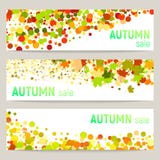 Set of three vector banners with colorful autumn leaves and circles on a white background royalty free illustration Set of three vector banners with colorful autumn leaves and circles on a white background royalty free illustration