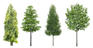 Set of trees isolated on white background stock photo Set of trees isolated on white background stock photo