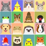Set of various pet animals face royalty free illustration Set of various pet animals face royalty free illustration