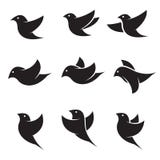 Set of vector bird icons. On white background vector illustration Set of vector bird icons. On white background vector illustration