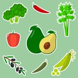 A set of fresh vegetables in a white stroke on a green background. vector illustration A set of fresh vegetables in a white stroke on a green background. vector illustration