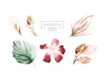 Set watercolor elements of savanna gold flowers collection garden red, burgundy flower, leaves, branches, Botanic