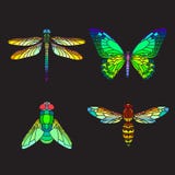 Set Ñ witrażu olorful insekty ilustracji Set Ñ witrażu olorful insekty ilustracji