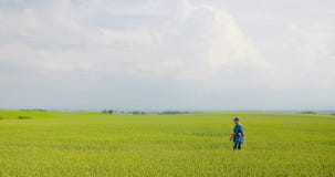 Setor agrÃcola responsável pela análise do setor agrÃcola vídeos de arquivo Setor agrÃcola responsável pela análise do setor agrÃcola vídeos de arquivo