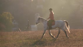 Setor privado com casas e cavaleiro que monta um cavalo Movimento lento vídeos de arquivo Setor privado com casas e cavaleiro que monta um cavalo Movimento lento vídeos de arquivo