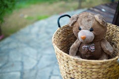 Seul jouet d'ours dans le panier images stock Seul jouet d'ours dans le panier images stock