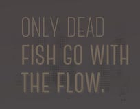 Seulement Les Poissons Morts Vont De Pair Avec La Citation De Motivation D Ecoulement Illustration De Vecteur Illustration Du Avec Ecoulement Seulement Les Poissons Morts Vont De Pair Avec La Citation De Motivation D Ecoulement Illustration De Vecteur Illustration Du Avec Ecoulement