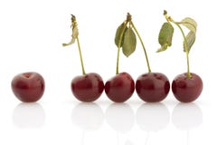 Several Cherries, Isolated Stock Images Several Cherries, Isolated Stock Images