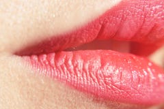 sexiga härliga kanter rosa stora kanter - närbild För perfekt naturlig härlig kvinnlig mun kantmakeup för närbild Fylliga sexiga royaltyfria bilder sexiga härliga kanter rosa stora kanter - närbild För perfekt naturlig härlig kvinnlig mun kantmakeup för närbild Fylliga sexiga royaltyfria bilder