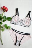 Sexy Schlüpfer und rosa des BH gesetzte und schwarze Farbe auf yhe Weiß backg stockfotos Sexy Schlüpfer und rosa des BH gesetzte und schwarze Farbe auf yhe Weiß backg stockfotos