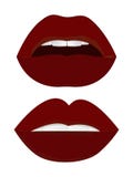 Sexy vrouwelijke matte rode lippen royalty-vrije illustratie Sexy vrouwelijke matte rode lippen royalty-vrije illustratie