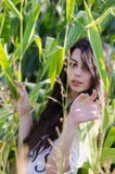Señora morena asombrosa con el pelo rizado largo, entre campo de maíz imagen de archivo Señora morena asombrosa con el pelo rizado largo, entre campo de maíz imagen de archivo
