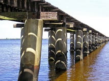 Shadows on Pilings royalty free stock images Shadows on Pilings royalty free stock images