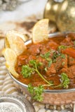 Shahi Rogan Josh. Stock Images Shahi Rogan Josh. Stock Images