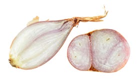 Shallot onion bulb cut in half inside cross and longitudinal section isolated on white stock images Shallot onion bulb cut in half inside cross and longitudinal section isolated on white stock images