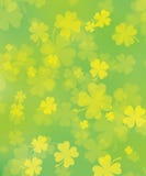 Shamrock ilustração royalty free Shamrock ilustração royalty free