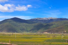 Shangrila, il Yunnan, la Cina ed il posto vicino fotografia stock Shangrila, il Yunnan, la Cina ed il posto vicino fotografia stock