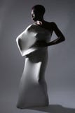 Shapely женщина в творческой ткани света и лайкра стоковые изображения Shapely женщина в творческой ткани света и лайкра стоковые изображения